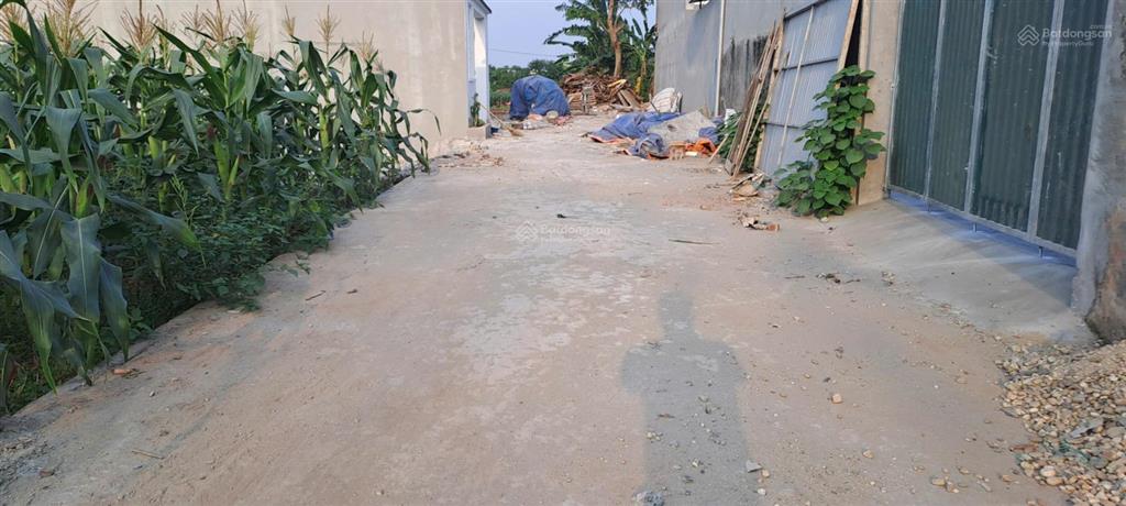Bán đất tại xã trung châu, huyện đan phượng, hà nội, 2,2 tỷ, 88,5 m2 giá ưu đãi hàng hot