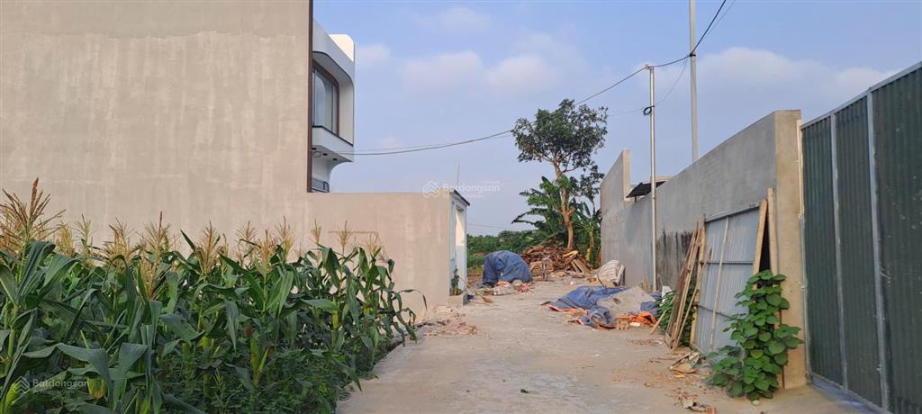 Bán đất tại xã trung châu, huyện đan phượng, hà nội, 2,2 tỷ, 88,5 m2 giá ưu đãi hàng hot