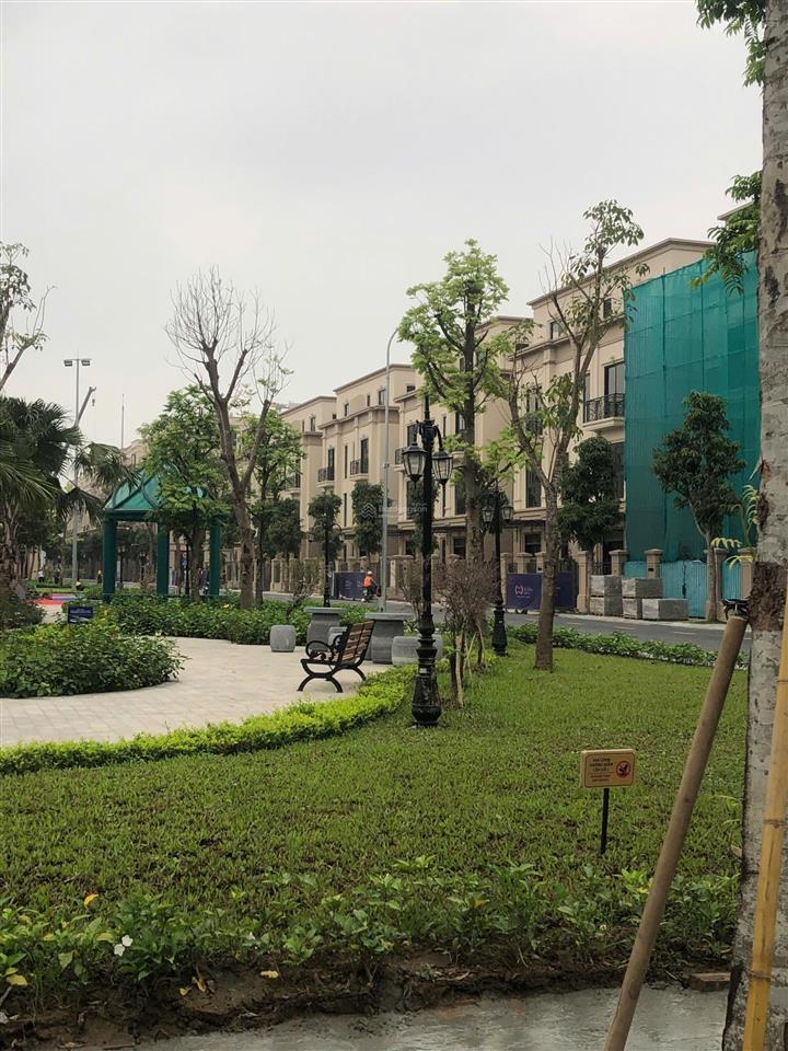 Vin đông anh  cắt lỗ 500 triệu  ngôi sao 62,5 m2