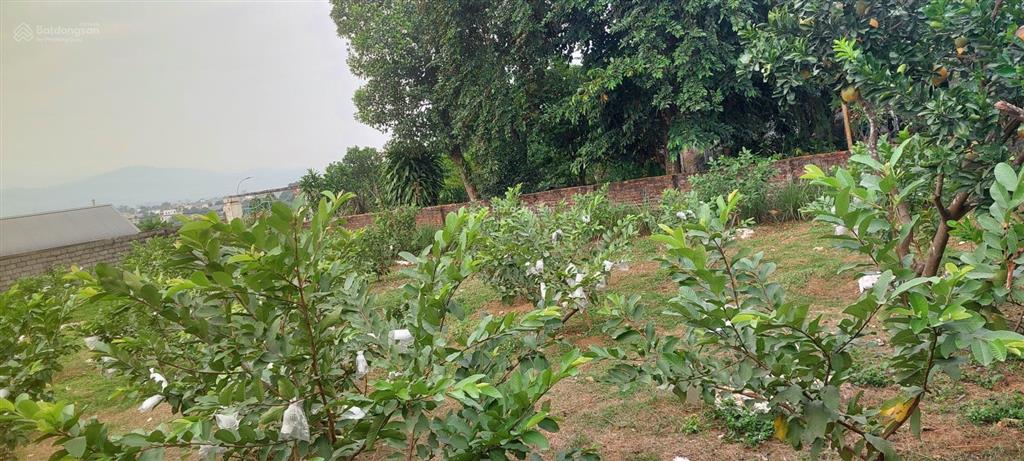 Bán đất thổ cư tại quốc oai đã có sổ