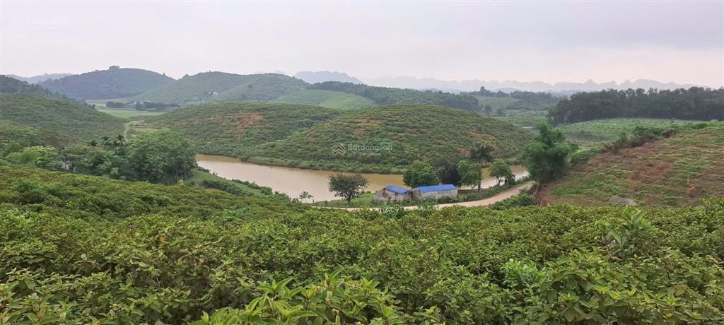 Bán khu đất viu hồ nghỉ dưỡng xã cao dương lương sơn
