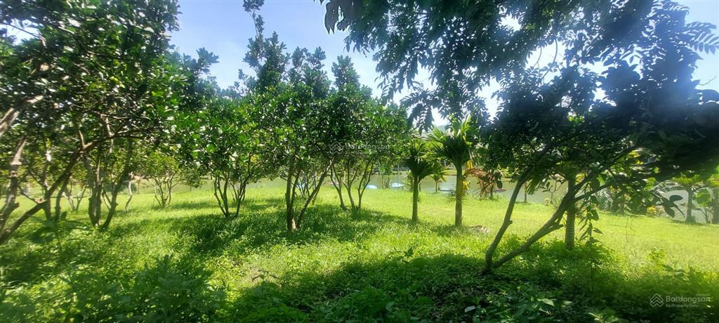 Bán đất bám hồ gần suối khoáng kim bôi. bán hồ 100m