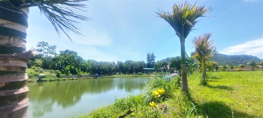 Bán đất bám hồ gần suối khoáng kim bôi. bán hồ 100m