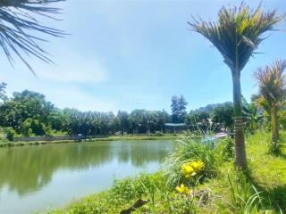 Bán đất bám hồ gần suối khoáng kim bôi.bán hồ 100m
