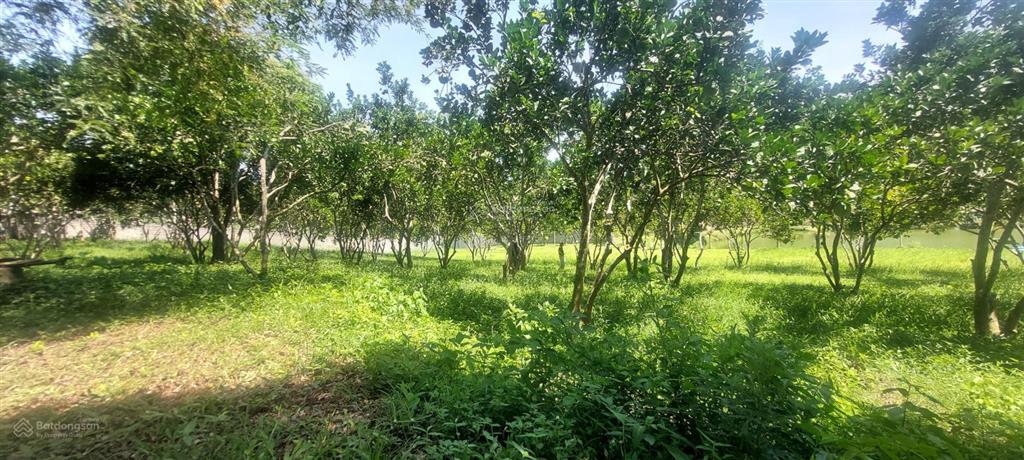 Bán đất bám hồ gần suối khoáng kim bôi. bán hồ 100m