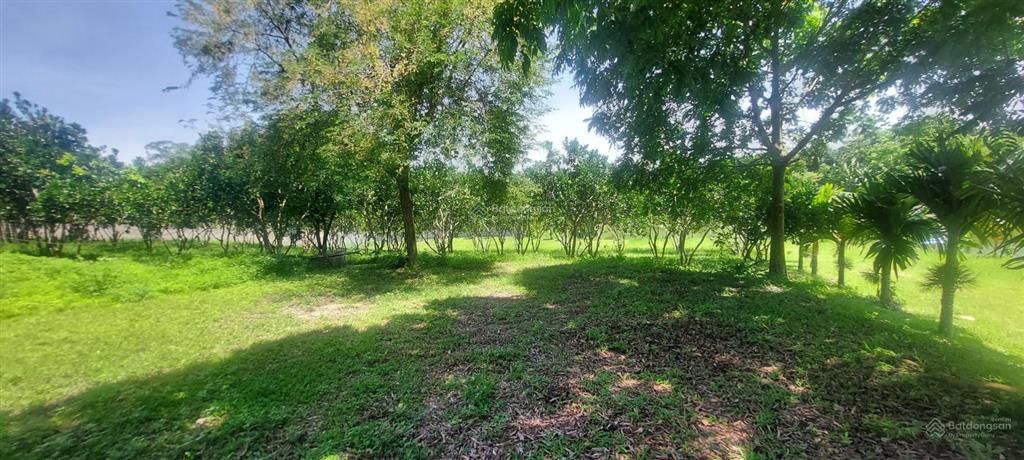 Bán đất bám hồ gần suối khoáng kim bôi. bán hồ 100m