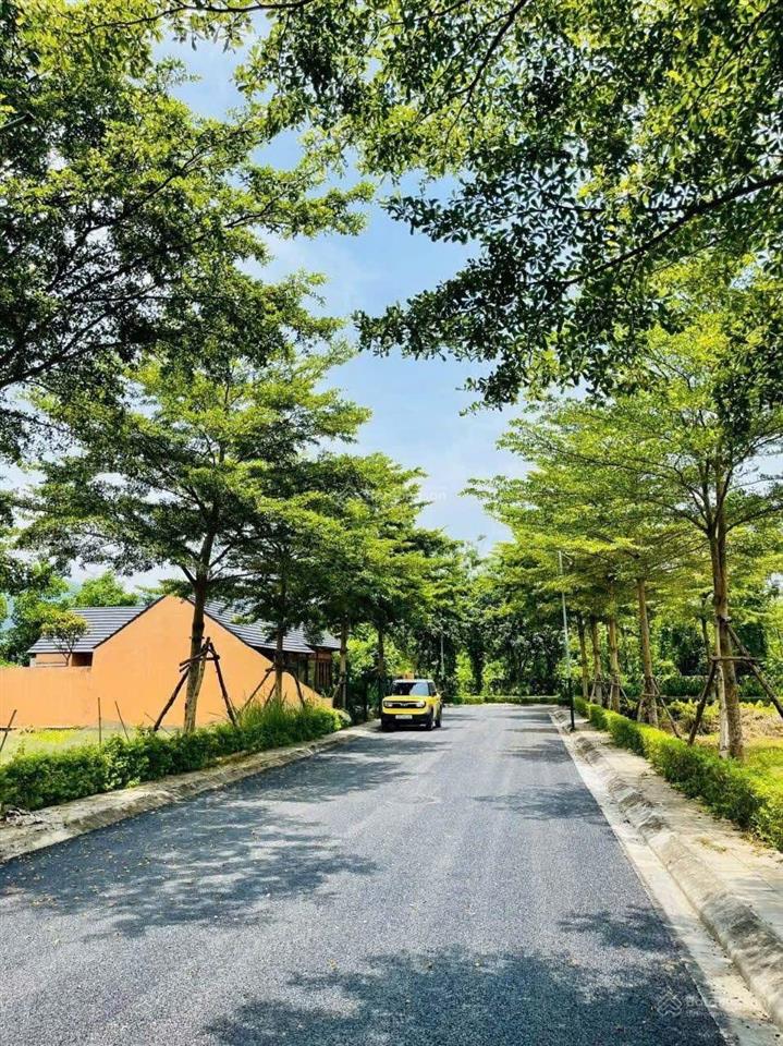 Chính chủ gửi bán đất xã phú mãn gần hòa lạc, dt 109m², sẵn sổ hồng.