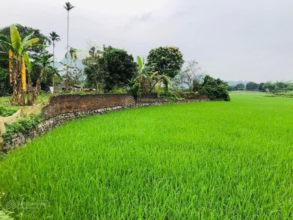 Chủ gửi bán đất tại liên sơn, lương sơn, hòa bình. pháp lý rõ ràng