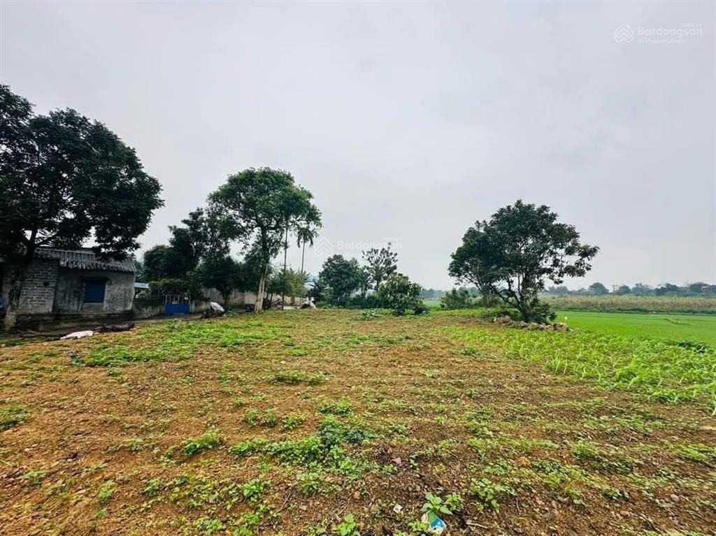 Chủ gửi bán đất tại liên sơn, lương sơn, hòa bình. pháp lý rõ ràng