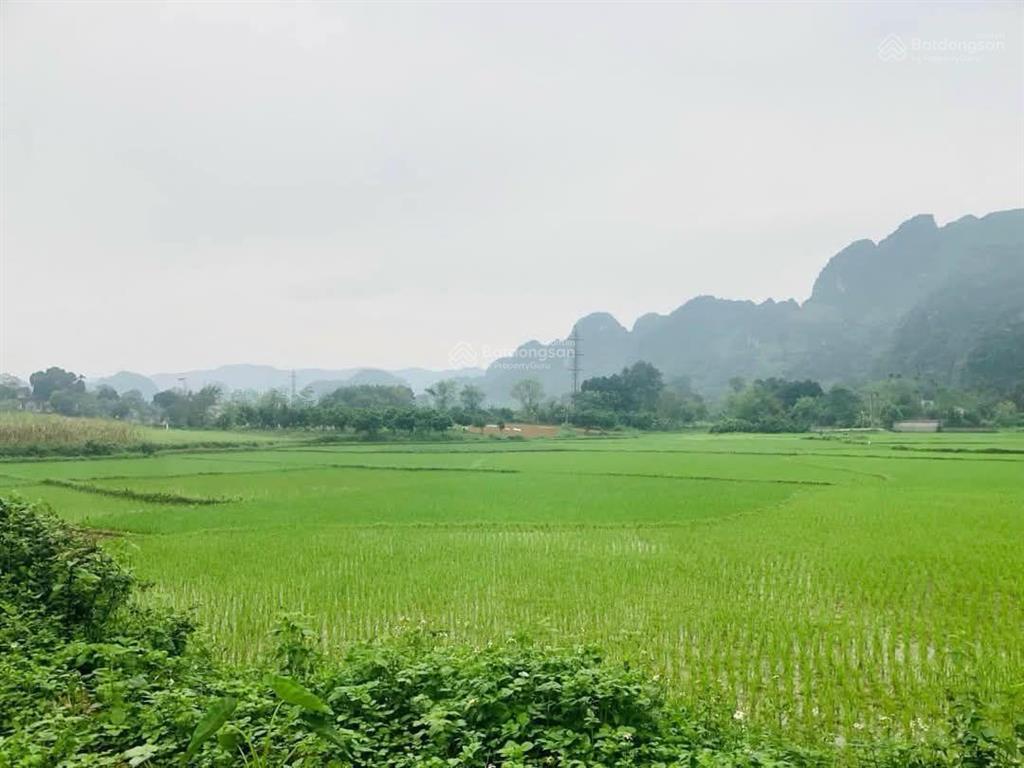 Chủ gửi bán đất tại liên sơn, lương sơn, hòa bình. pháp lý rõ ràng