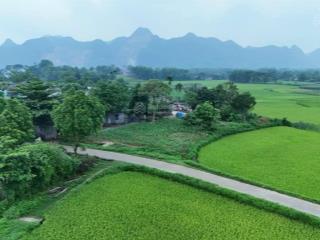 Chủ gửi bán đất tại liên sơn, lương sơn, hòa bình. pháp lý rõ ràng