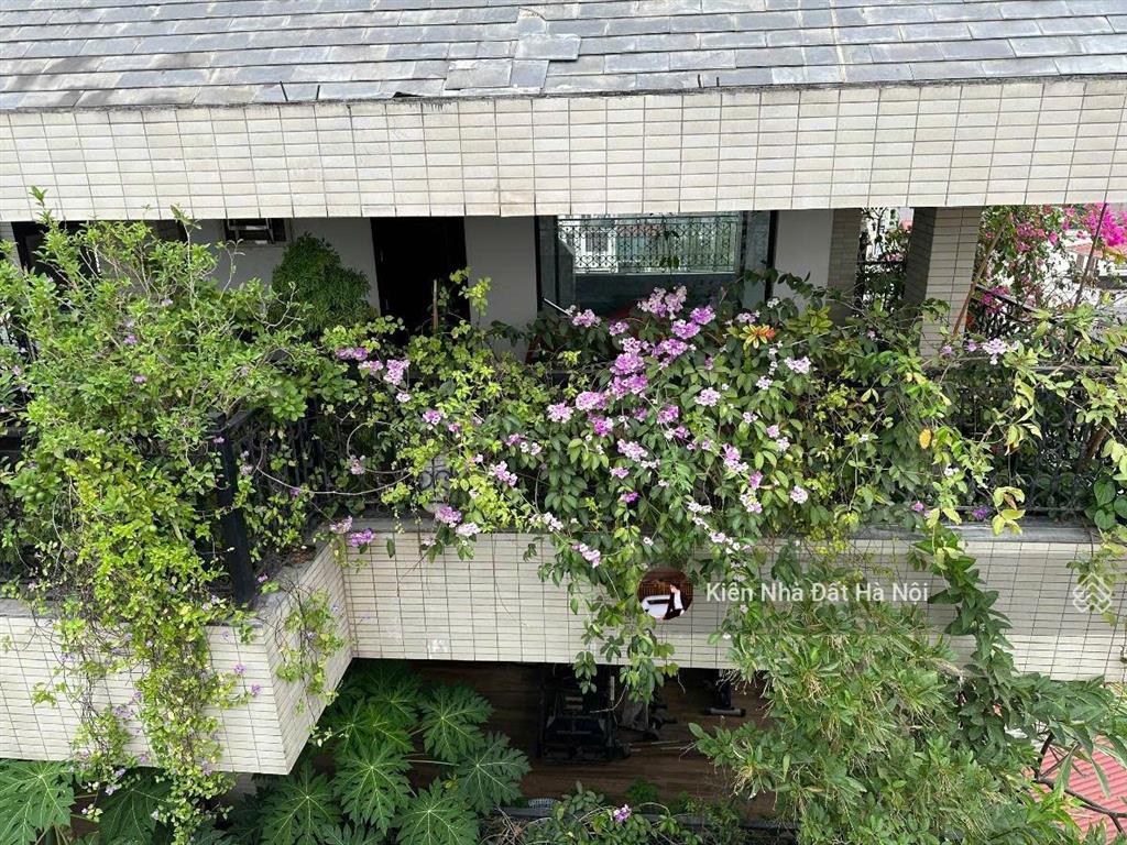 Siêu phẩm! kim mã  ba đình  48m2 7 tầng thang máy  ô tô  view hồ  mt 5m  ở sướng  cực hiếm!