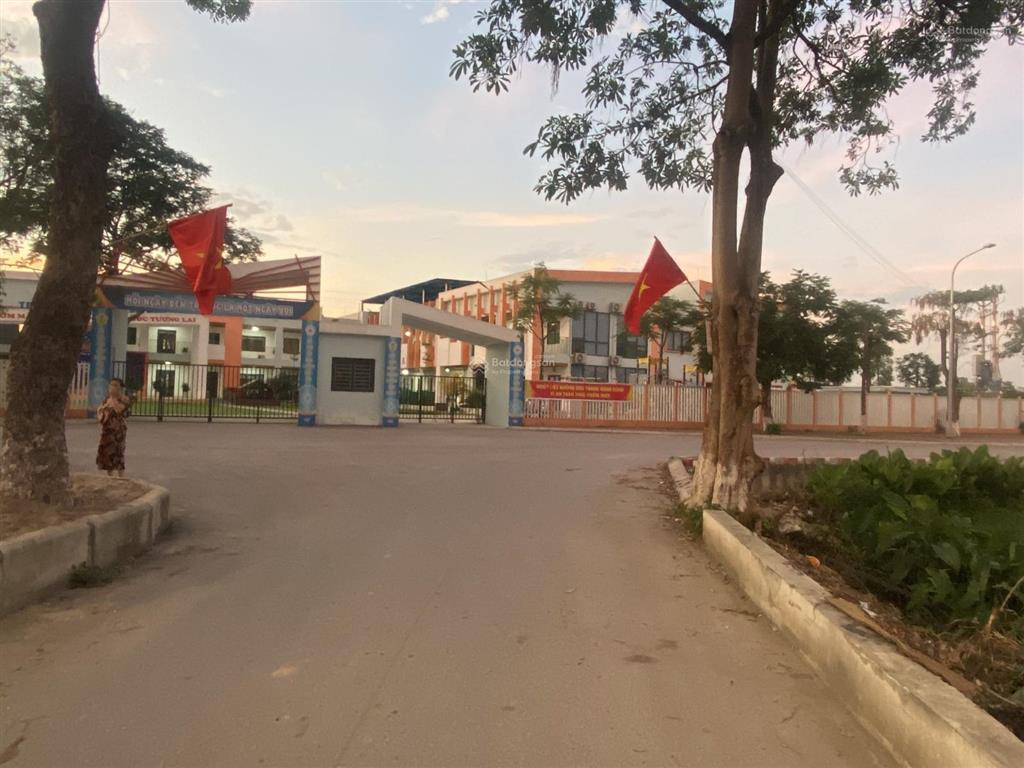 Bán đất thái bình mai lâm đông anh  65m2  đường 6m kinh doanh  sát vin cổ loa & cầu tứ liên