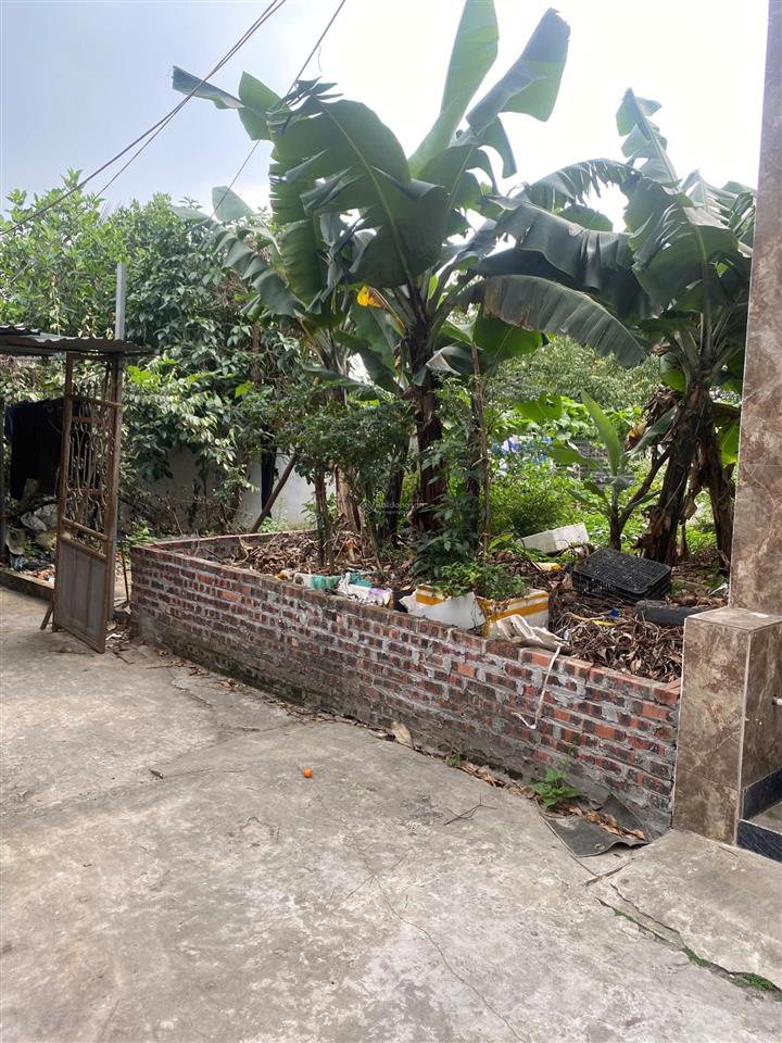Bán đất lô góc xóm vang cổ loa  55m2  cách vin cổ loa 1km  ô tô đỗ cửa  giá 82 triệu/m2