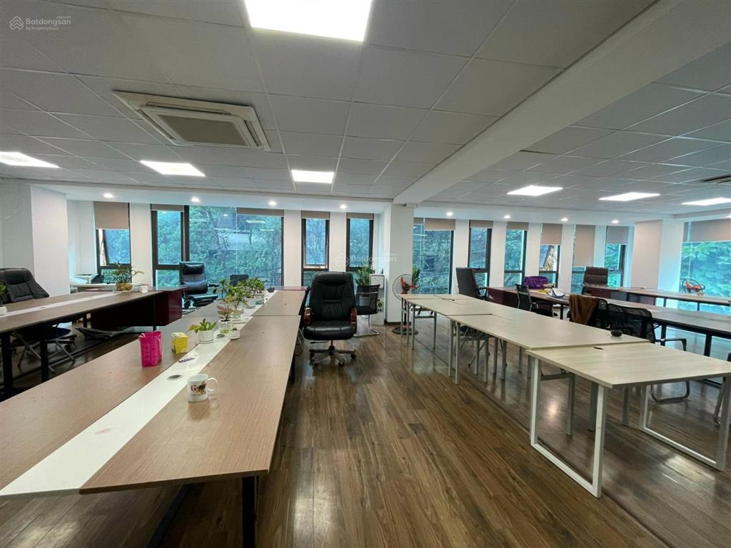 Cho thuê văn phòng quận 1  khu trần hưng đạo  80m² chỉ 365.232đ/m2  có sảnh lễ tân mới đẹp