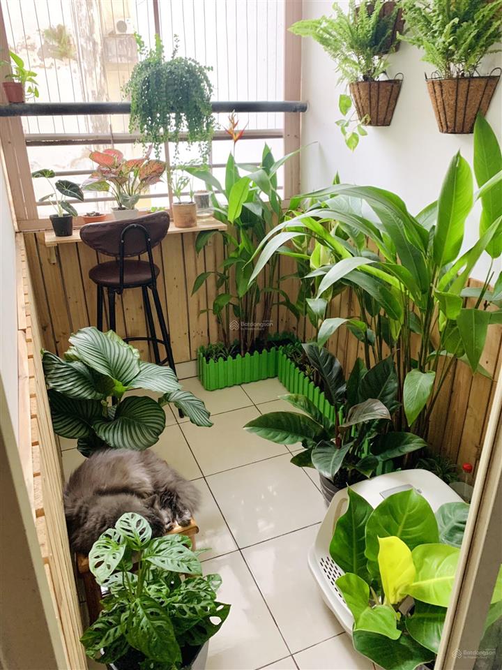Bán căn hộ 8x thái an 55m2  2pn  1wc. ban công thoáng mát  công chứng sang tên ngay