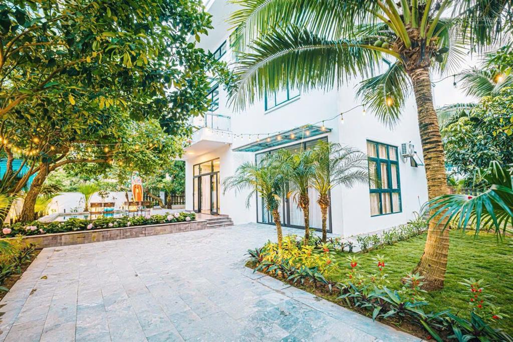 Cắt lỗ sâu! villa vip flc sầm sơn 500m2 3 tầng 7pn bể bơi riêng sổ đỏ lâu dài