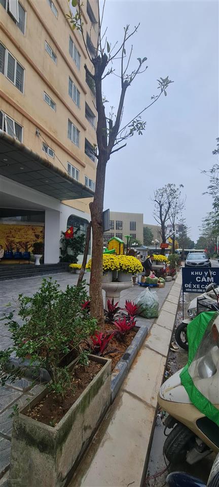 Bán căn góc 155m2 chung cư ct6 văn khê, giá rất tốt trong khu vực