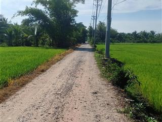 Siêu hot đất bán tại đỗ văn dậy, 4,2 triệu/m2, 6500m2