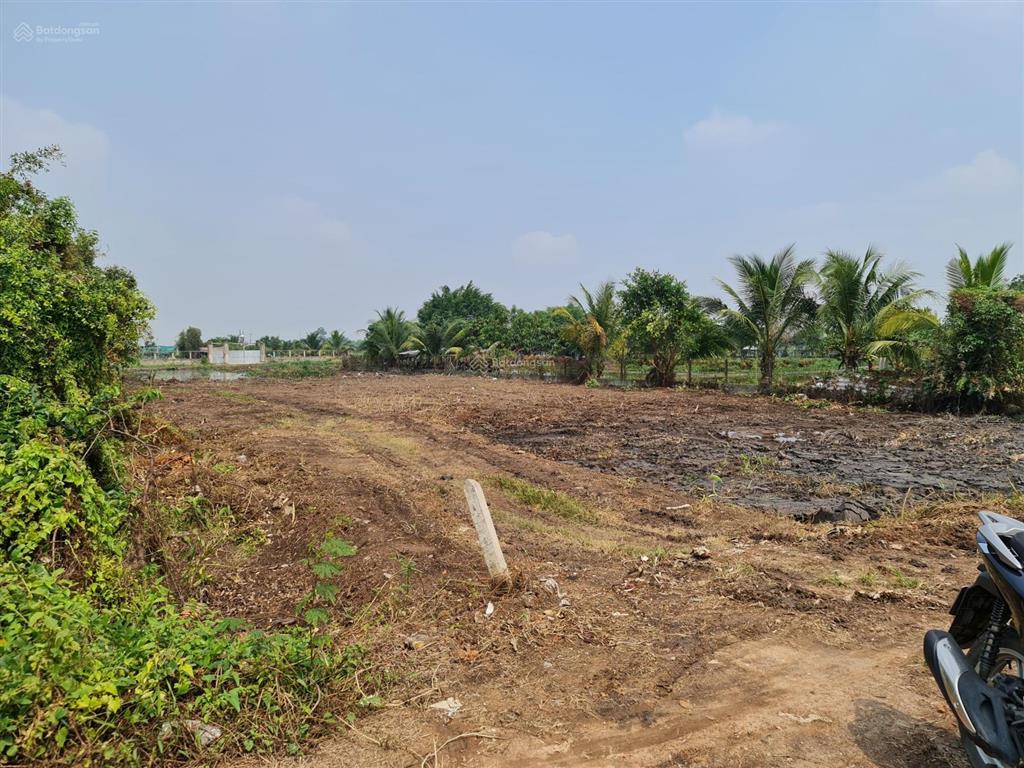 Bán đất gia đình, không người quản lý nên cần bán