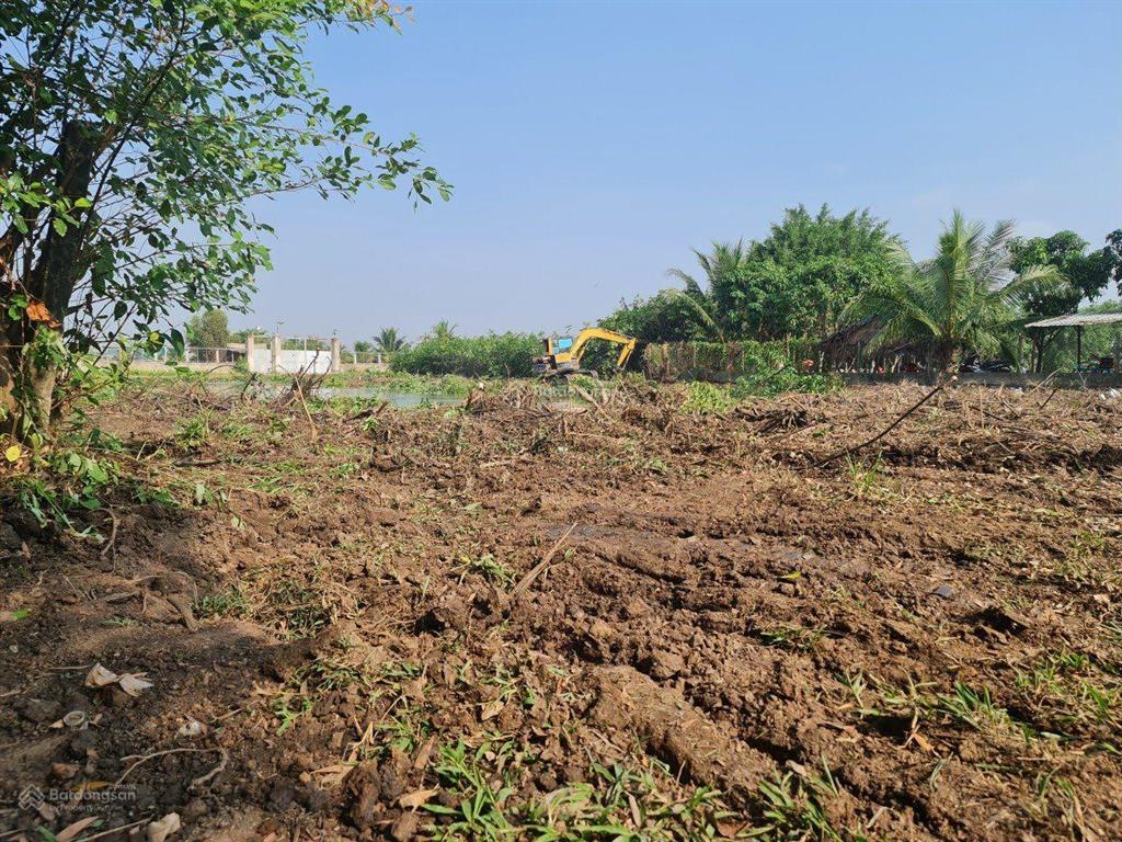 Bán đất gia đình, không người quản lý nên cần bán