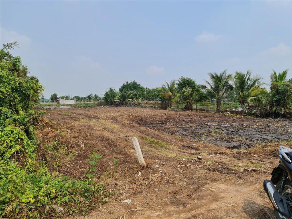 Bán đất gia đình, không người quản lý nên cần bán