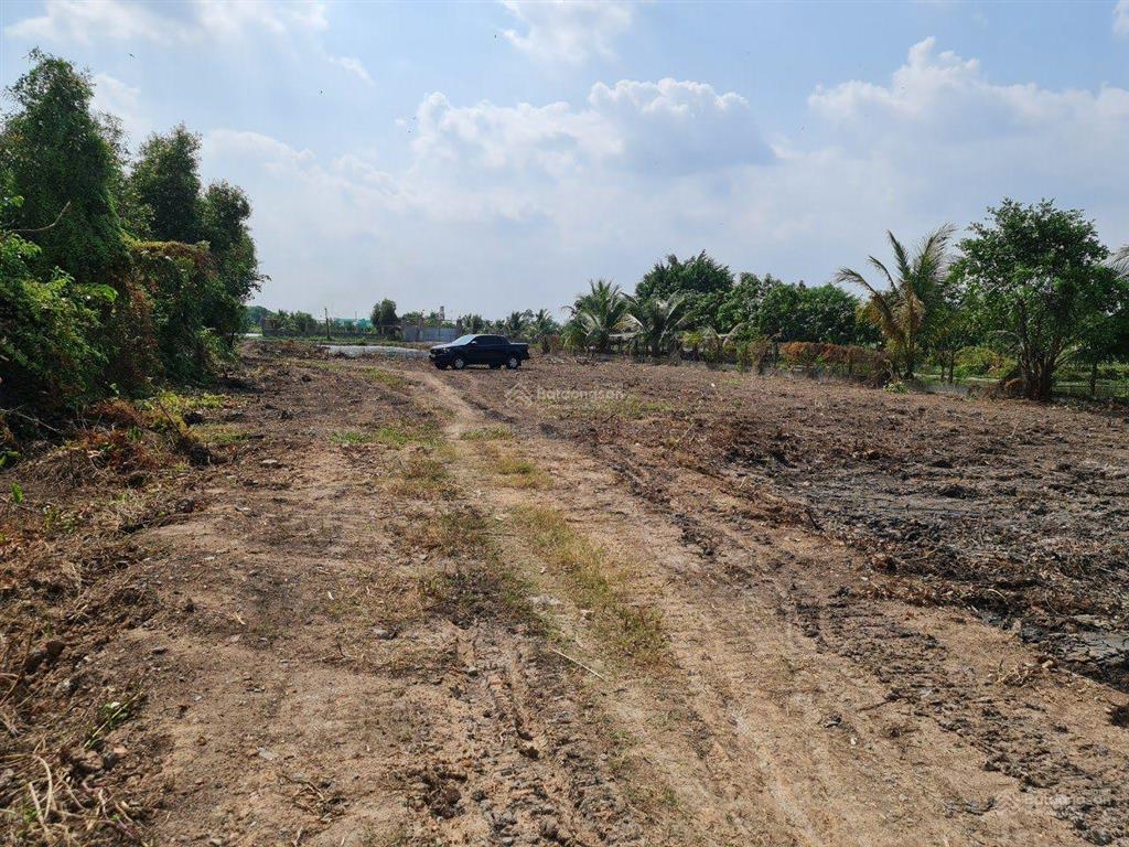 Bán đất gia đình, không người quản lý nên cần bán