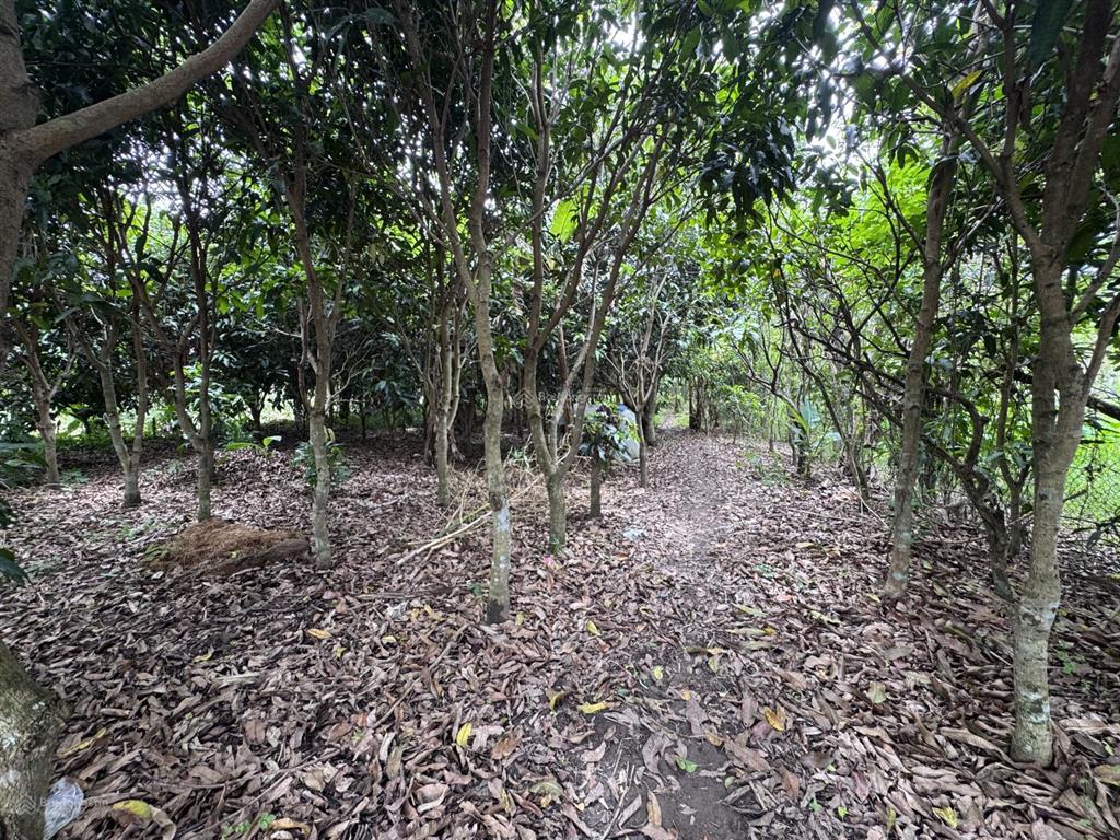 Bán 1.464m2 đất mặt tiền đường lò mổ phía sau khu thiên lộc (đường trương vĩnh nguyên mới)