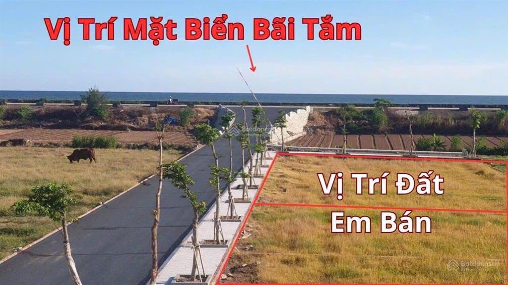 Lô góc đẹp mặt biển quất lâm  nam định, sổ đỏ full 100% thổ cư, giá chuẩn và tốt
