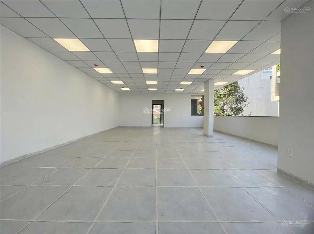Cho thuê tòa vp góc 2mt đường nguyễn thanh sơn p. tml. dt 8x20m. hầm 7 lầu. sàn trống. giá 160tr