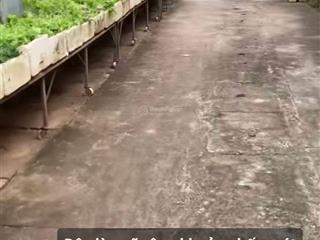 Cần bán đất địa chỉ thôn phú xuyên 2, phú châu vật lại, ba vì, hà nội diện tích 150m² full đất