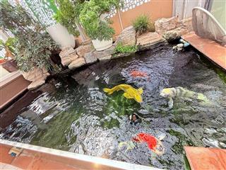 Duy nhất 1 căn biệt thự khu him lam p2 tân bình ngang hiếm 15m hầm 4 tầng ngay sân bay giá 85 tỷ