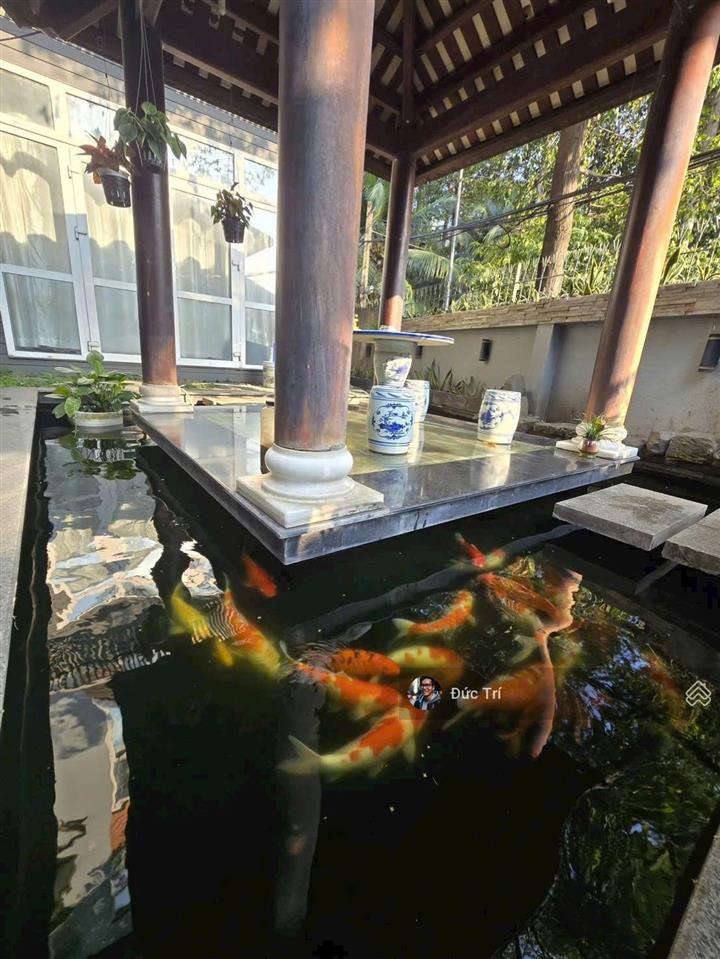 Bán biệt thự vườn phổ quang phú nhuận 274m2 (10x20m) có hầm sát công viên gia định  giá 60 tỷ tl