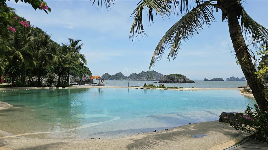 Bán condotel sổ đỏ 1pn, 58,2m2 chỉ với 3,6 tỷ tại flamingo cat ba beach resort, cát bà
