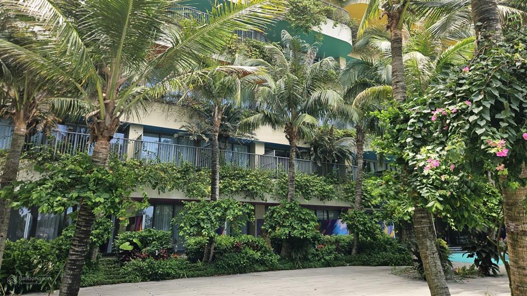 Bán condotel sổ đỏ 1pn, 58,2m2 chỉ với 3,6 tỷ tại flamingo cat ba beach resort, cát bà