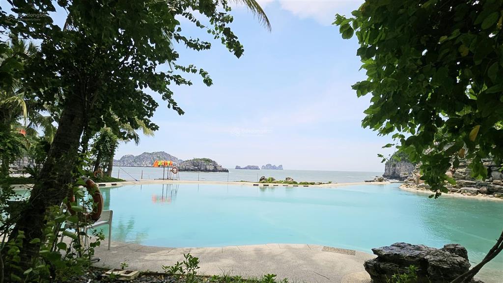 Bán condotel sổ đỏ 1pn, 58,2m2 chỉ với 3,6 tỷ tại flamingo cat ba beach resort, cát bà