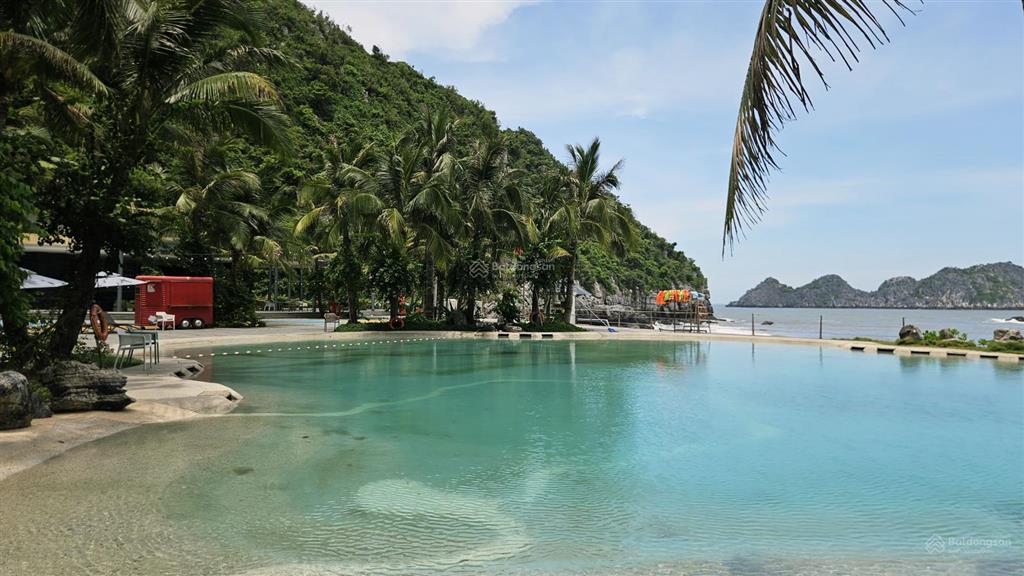 Bán condotel sổ đỏ 1pn, 58,2m2 chỉ với 3,6 tỷ tại flamingo cat ba beach resort, cát bà