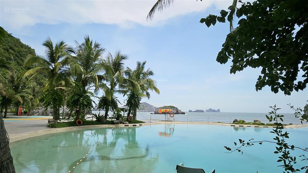 Bán condotel sổ đỏ 1pn, 58,2m2 chỉ với 3,6 tỷ tại flamingo cat ba beach resort, cát bà