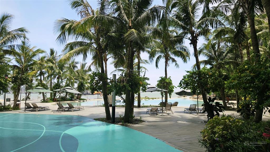 Bán condotel sổ đỏ 1pn, 58,2m2 chỉ với 3,6 tỷ tại flamingo cat ba beach resort, cát bà