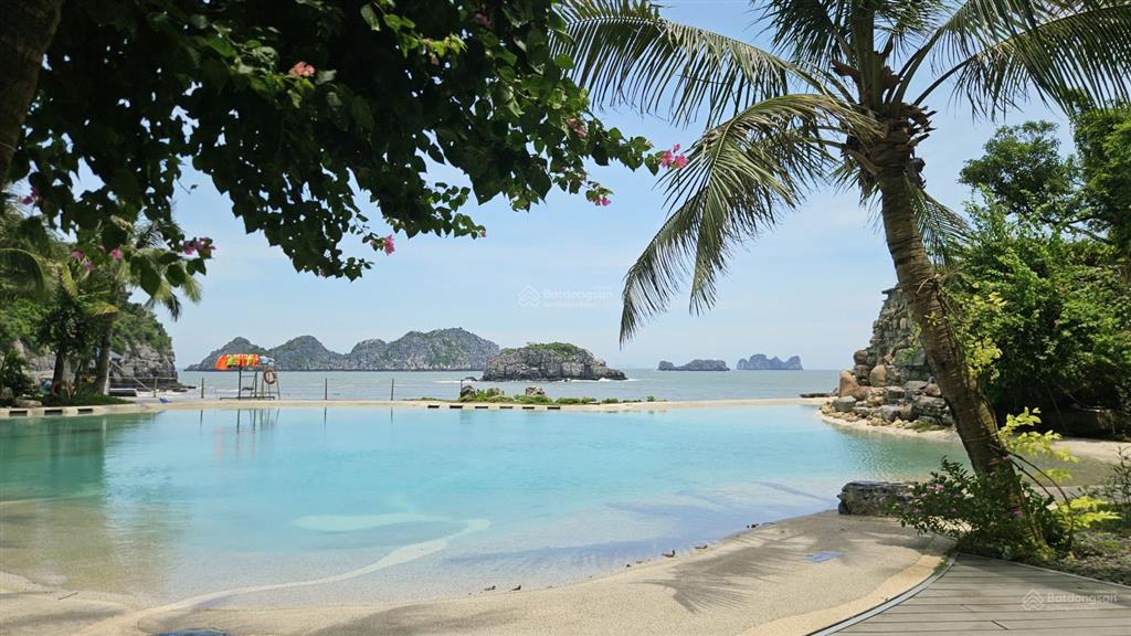 Bán condotel sổ đỏ 1pn, 58,2m2 chỉ với 3,6 tỷ tại flamingo cat ba beach resort, cát bà