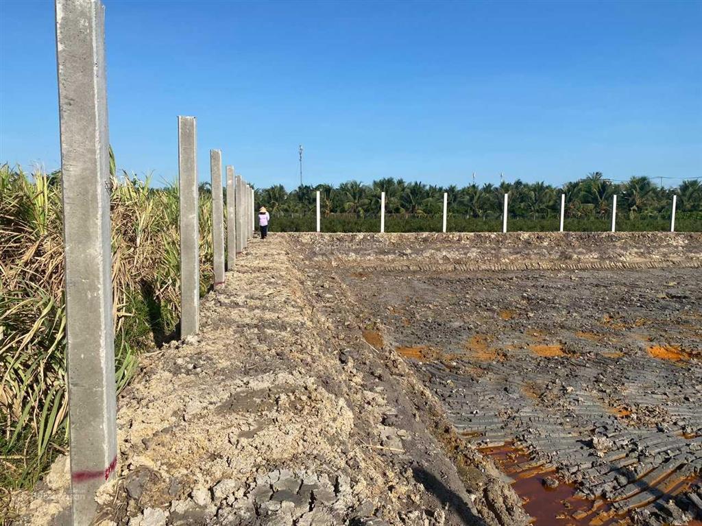 Chính chủ cần bán mảnh đất vườn mt đường 10m xã lê minh xuân, bình chánh, cách vành đai 3 chỉ 1km