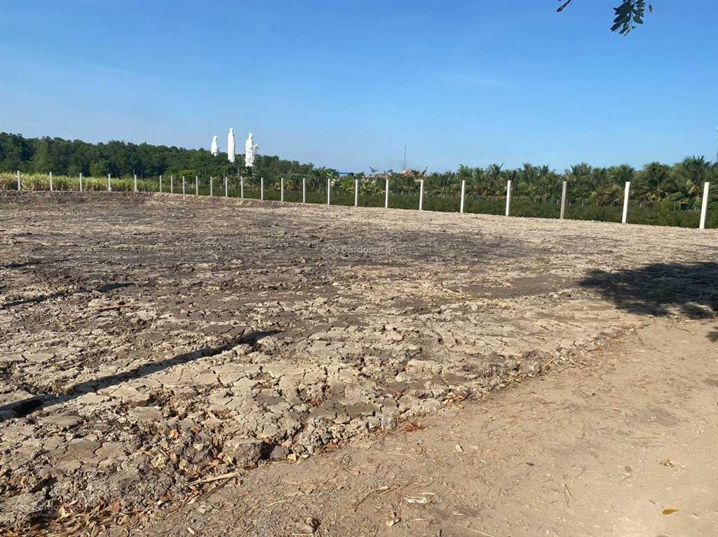 Chính chủ cần bán mảnh đất vườn mt đường 10m xã lê minh xuân, bình chánh, cách vành đai 3 chỉ 1km