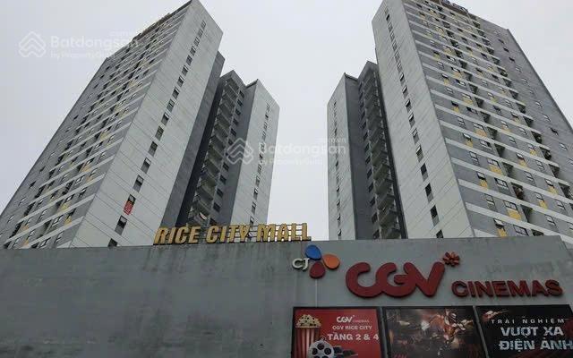 Bql cho thuê mặt bằng tòa rice city tại khu đô thị linh đàm  diện tích 150m2