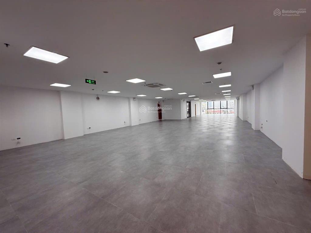Bql cho thuê toà nhà văn phòng 9 tầng + 1 hầm phố tôn đức thắng, dt 250m2  giá thuê 200k/m2/th