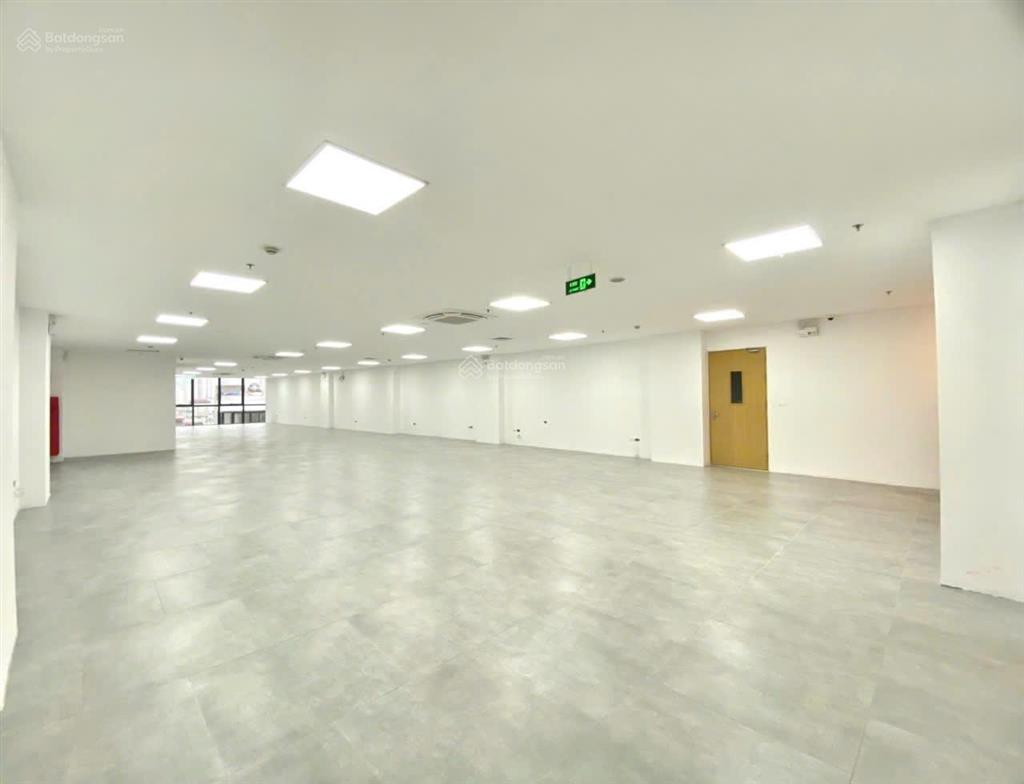 Bql cho thuê toà nhà văn phòng 9 tầng + 1 hầm phố tôn đức thắng, dt 250m2  giá thuê 200k/m2/th