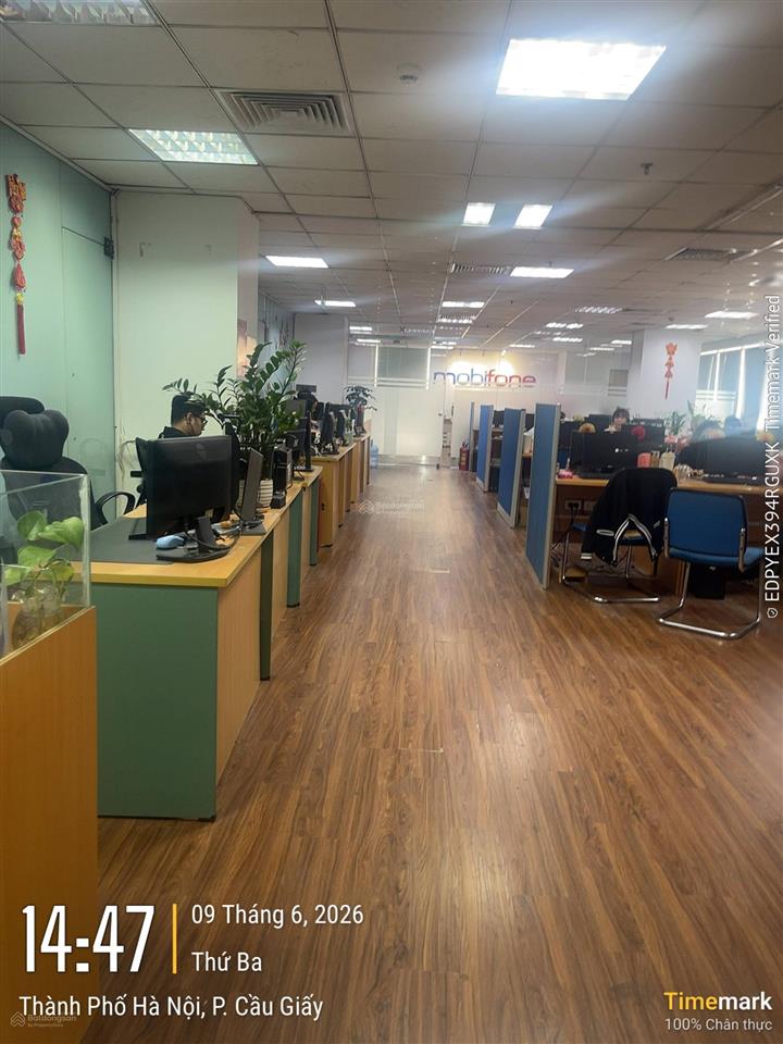 Bql cho thuê văn phòng tòa ctm complex 139 cầu giấy. dt 500m2 có cắt linh hoạt