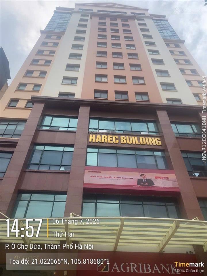 Bql cho thuê văn phòng toà nhà harec building số 4 láng hạ. dt 500m2 có cắt nhỏ từ 100m2