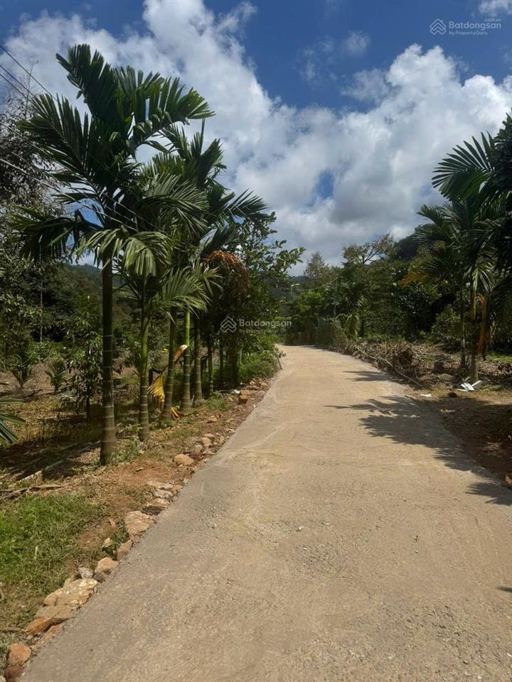 Cấn bán lô đất 2000m2 tại đạ huoai 3 có 60m mặt tiên đương lớn giáp suối đá, giá bán 580 triệu