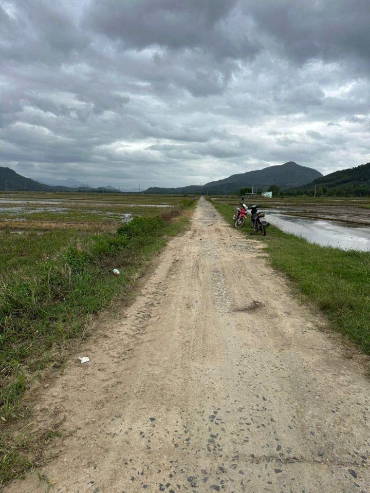 Bán ruộng Diên Điền thôn Trung 2 sát bên Hương Lộ 5 và Am Chúa chỉ 95 triệu 1 Sào