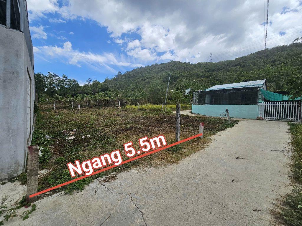 Bán đất Diên Tân full thổ giá rẻ sát bên Hương Lộ 62 đối diện công ty Đảnh Thạnh đi vào